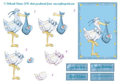 Aqua Stork Baby Card