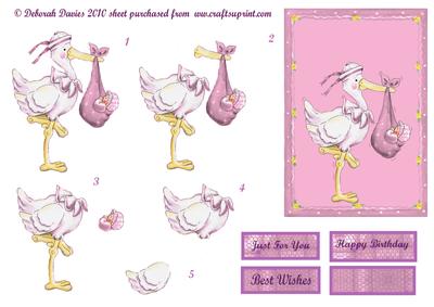 Pink New Baby