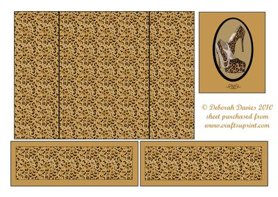 Shoes to Die for Gatefold