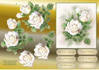 White Rose Delight