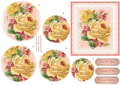 Roses on Lace