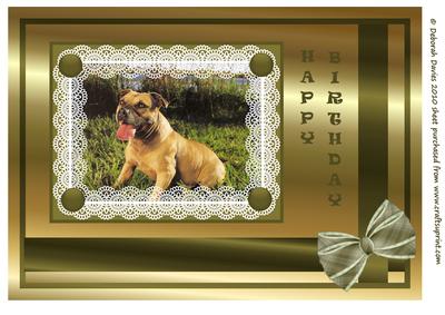 Handsome Lad Large Topper
