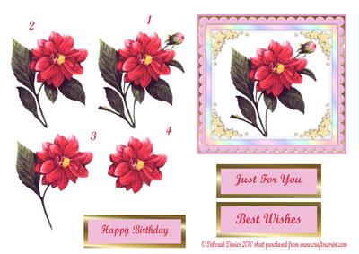Pretty Flowers