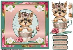 Teacup Puppy