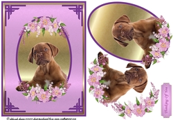 Floral Puppy