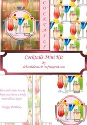 Cocktails Mini Kit