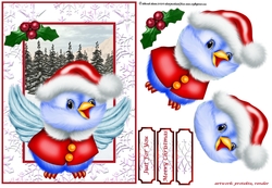 Winter Chick