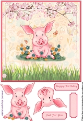 Piggy Fun