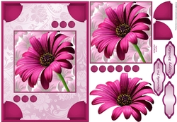 Cerise Floral