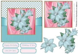 Framed Florals 2