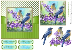 Framed Floral Birds