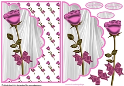 Pretty Pink Rose