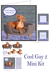 Cool Guy 2 Mini Kit
