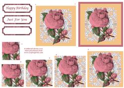 Pink Florals on Lace