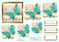 Stunning Butterly
