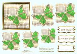 Stunning Green Butterfly
