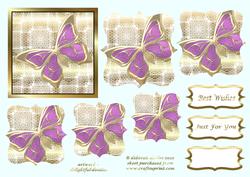 Stunning Lilac Butterfly