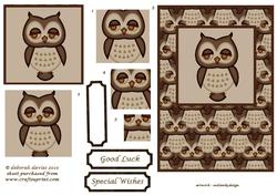 Wise Owl Pyramids