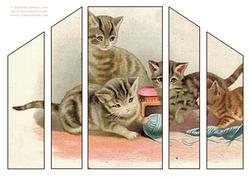 Kitties Play