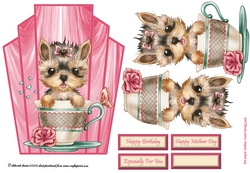Teacup Pup