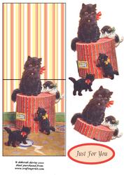 Cats Play Over the Edge Card