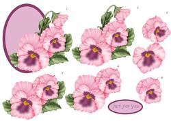 Pink Pansy Step by Step