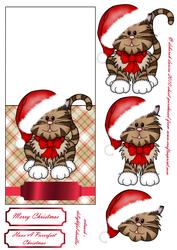 A Purrfect Christmas Over the Edge