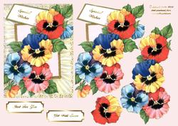 Vintage Pansies