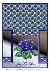 African Violet Staggerfold