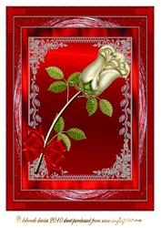 A Simple Rose in Red