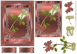 A Simple Rose in Peach