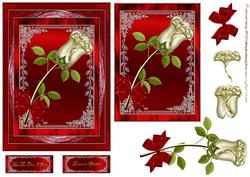 A Simple Rose in Red