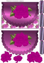 Cerise Rose Envelope Card