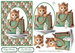 Cat-bag