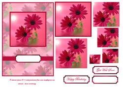 Pink Florals