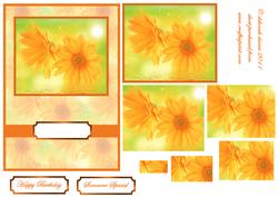 Orange Florals