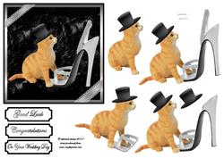 Top Cat