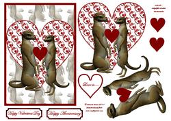 Meerkat Love