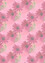Pink Florals Vellum