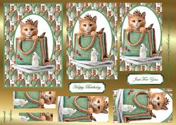 Cat-bag Pyramids