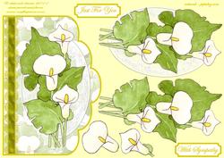 White Lillies on Scallop Edge Cardfront