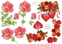 Mixed Roses Step by Step