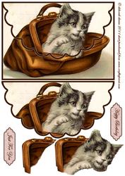 Cute Kitty Envelope Card