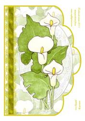 White Lillies on a Scallop Edge Cardfront
