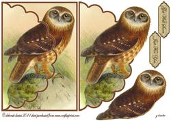 Mr Wise Owl Envelope Card