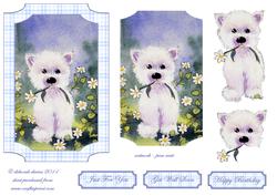 Floral Westie