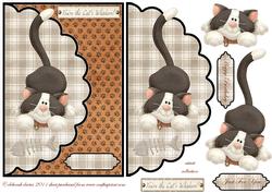 Cats Whiskers Envelope Card