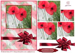 Stunning Poppy Cardfront
