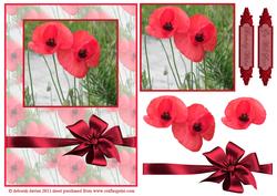 Stunning Poppy Cardfront 2