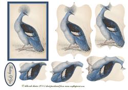 Feathered Blue